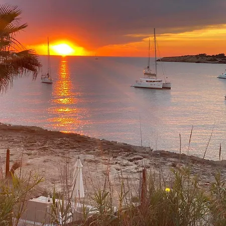 Alexander Apartments Ibiza